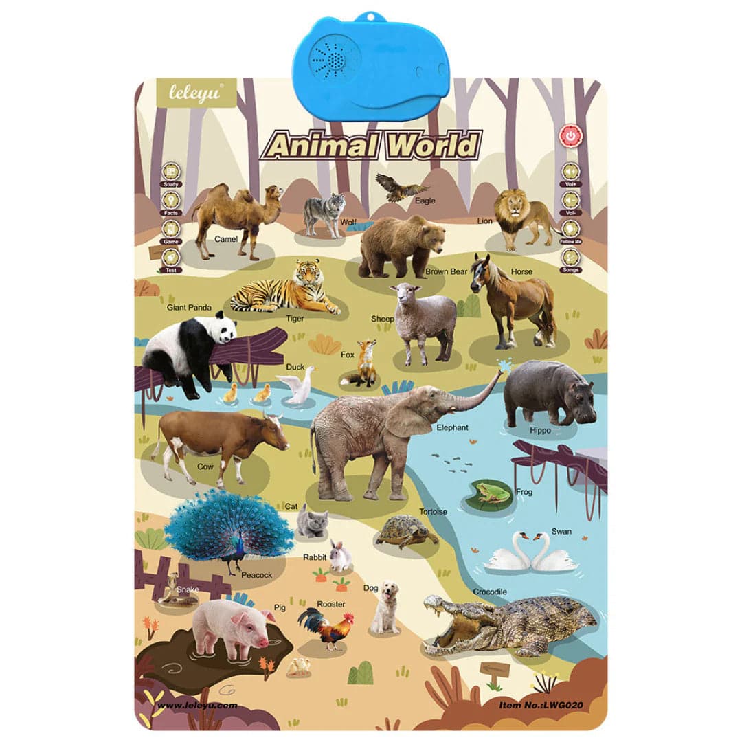 Mówiąca Tablica Edukacyjna Dla Dzieci | Interaktywny Angielski